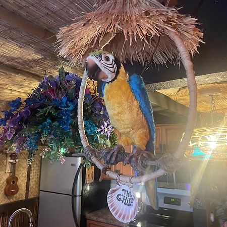 The Kondo Tiki Tampa Exterior foto